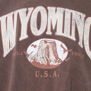 เสื้อยืดพรีเมียมคุณภาพสูงสำหรับผู้ชาย หรูหรา สั่งทำได้ ผ้าฝ้าย 100% ทรงโอเวอร์ไซส์ คอกลม เนื้อผ้าหนา พิมพ์โลโก้ได้ตามต้องการ - Product Image 3