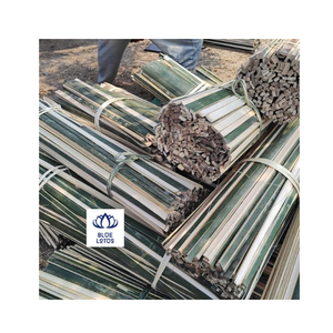 ไม้ไผ่พรีเมียมแบบแยกท่อน ผิวเรียบ บลูโลตัสฟาร์ม เวียดนาม - Product Image 1