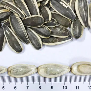 High Grade Sunflower <b>Seeds</b> Vacuum <b>Packed</b> for Export Shipments and Long Duration Storage - Product Image 1