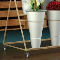 Support à fleurs en fer à plusieurs niveaux avec roulettes, étagère à plantes en forme d'échelle, étagère à plantes en métal pour intérieur et extérieur, plusieurs tailles et couleurs