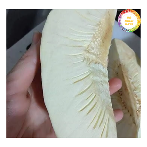 ชิ้นขนุนแช่แข็ง เหมาะสำหรับทอด อบ และทำซุป - Product Image 1