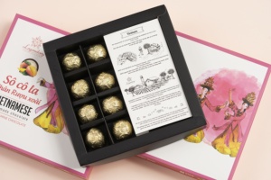 Chocolate con Sabor a Vino de Mango Más Vendido, Vietnam ZOOM VIETNAM, 10 Años de Experiencia, Chocolate de Lujo para Venta al por Mayor - Product Image 3