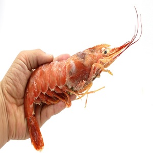 กุ้งแดงอาร์เจนตินาแช่แข็ง ผลิตภัณฑ์อาหารทะเลพรีเมียม รสชาติเยี่ยม เนื้อแน่น คุณภาพเชื่อถือได้สำหรับตลาดนานาชาติ - Product Image 2