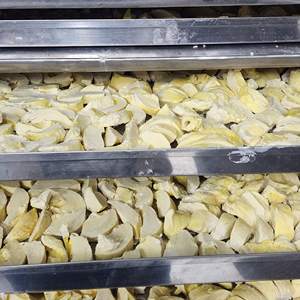 Durian surgelé de haute qualité – Fruit entier ou pulpe sans noyau – Approvisionnement en gros - Product Image 5