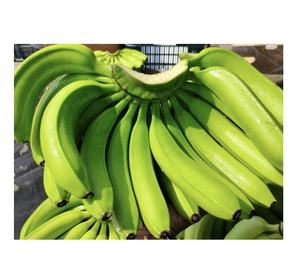 <b>Fresh</b> Cavendish <b>Banana</b> thick peel sweet aroma tropical fruit grown and packed under high standards in Vietnam - Product Image 3