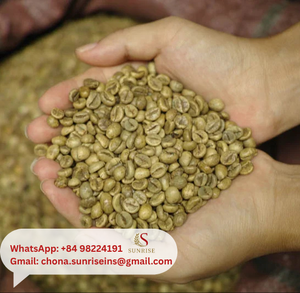 Granos de Café Arábica y Robusta Verdes de Vietnam, Sin Tostar, Naturales, Procesados para Preparar y Tostar, Grado AA, Empaquetado en Bolsa de Yute - Product Image 2