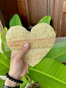 High Quality Natural Loofah <b>Scrubber</b> Single Soft Layer Pad Customizable Size Vietnam Farm Grown OEM Packaging Wholesale Export - Product Image 4