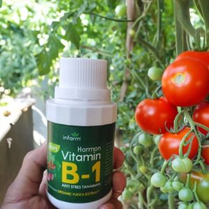 High Quality <b>Vitamin</b> B1 Plant Nutrient <b>Liquid</b> Organic Fertilizer Anti Stress for Plant Growth & Root Development - Product Image 3