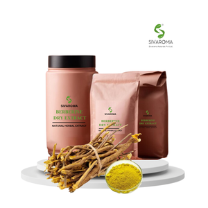 Poudre sèche de berbérine d'origine végétale de qualité alimentaire pour la fabrication de produits de bien-être et les acheteurs commerciaux - Product Image 2