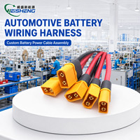 Câble de batterie personnalisé XT30/XT60/XT90 avec connecteur mâle/femelle, certifié RoHS, OEM/ODM