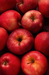 Manzanas Frescas de Primera Calidad, Cosechadas en Granja, Crujientes y Jugosas, Ocean Link Exim para Suministro al por Mayor y Mercados Minoristas Diarios - Product Image 2