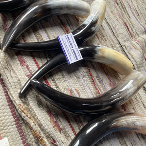 Paire de cornes de bison polies, décoration murale, design Art Déco, grande taille de 10 à 18 pouces, pour mariage, anniversaire - Product Image 1