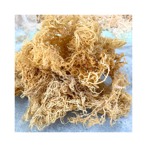 Alga Marina Eucheuma Cottonii Orgánica Seca Amarilla con Alto Contenido de Gel para el Desarrollo de Postres Veganos, Helados y Gomitas - Product Image 4