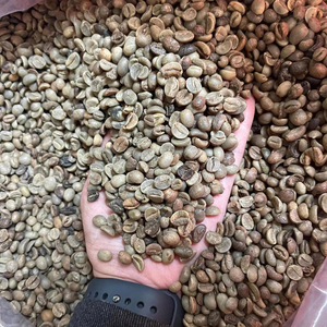 OEM/ODM Exportación al por Mayor de Granos de Café Verde Orgánico Arábica y Robusta 100% Natural de Alta Calidad Sin Tostar Orgánico de Vietnam - Product Image 1