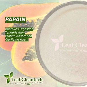 Enzima de papaína para ablandar la carne: salud digestiva y procesamiento de alimentos de la India | Enzimas alimentarias | - Product Image 3