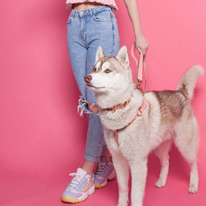 Lightweight Featuring Adjustable Features <b>Dog</b> Leather Collar <b>Custom</b> <b>Tag</b> & Logo Printing PU Leather Made Collar For <b>Dogs</b> - Product Image 4