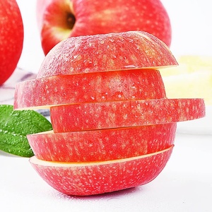 ราคาขายส่ง แอปเปิ้ลฟูจิแดงสด ออร์แกนิค 25 กก. อายุการเก็บรักษายาวนาน - Product Image 5