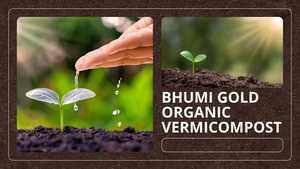 Engrais organique VERMICOMPOST, produit de première qualité, engrais organique vermicomposté pour plantes, vermicompost de haute qualité - Product Image 5