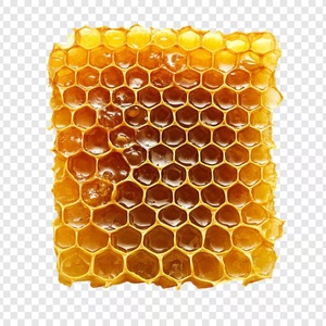 Miel Cruda de Primera Calidad en Forma de Panal, Producto Natural de Abejas, Empaque a Granel - Product Image 1