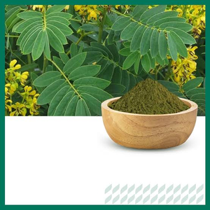 Poudre d'extrait pur de feuilles de séné, extrait végétal naturel en poudre fine pour le bien-être digestif et les applications nutritionnelles à base de plantes - Product Image 6
