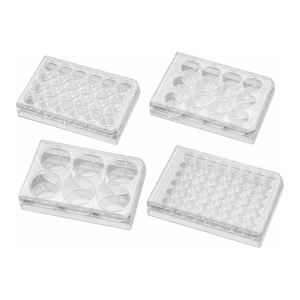 Microplaques Corning BioCoat revêtues de fibronectine pour l'adhérence cellulaire et la culture sans sérum - Product Image 2