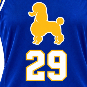Maillots de basket-ball personnalisés pour femmes, uniformes de sport sans manches, respirants, à séchage rapide, chemises athlétiques pour les jeux d'équipe, l'entraînement et la pratique - Product Image 5