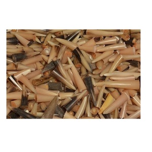 Pointe de corne de buffle naturelle polie écologique ILAHI, couleur naturelle, haute qualité, objet de collection artistique - Product Image 4