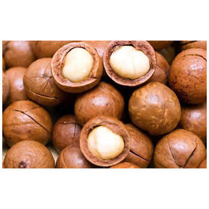 Nueces de macadamia de calidad alimentaria, la mejor calidad, baratas, en venta - Product Image 1