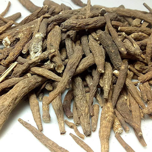 Aconit amer / Aconitum Heterrophyllum / Aconit indien - Product Image 3