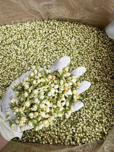 Capullos de Jazmín Secos Premium a Granel, 100% Flor Entera, Té Saludable, Grado de Exportación - Product Image 3