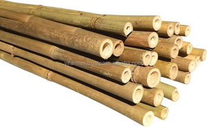 Vietnam <b>Bamboo</b> Poles (4-10m 3-10cm) for Furniture Manufacturing | Reliable Supplier & OEM Available - Product Image 4