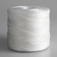 Corde de liage torsadée en polypropylène et jute, jaune, bleu, orange, haute résistance, légère, anti-UV, 1 pli/2 plis/3 plis, traitée chimiquement