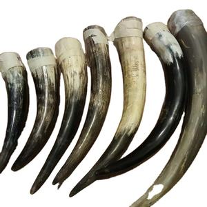 Soporte de Cuerno Pulido Ecológico Moderno para Bebidas, de Buey o Búfalo, para Cerveza, Cuernos Naturales, PERFECT ENTERPRISES - Product Image 1