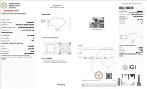 Diamants de laboratoire CVD 2 CT E VS1 Arin Luxury Co, taille brillant modifiée en forme de fleur, certifiés IGI, haute qualité Gujarat pour la joaillerie - Product Image 2