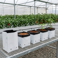 Sacs de culture en tourbe de coco (intérieur noir/extérieur blanc) pour la santé de votre jardin – Écologiques, durables, pour culture hydroponique, champignons et fleurs