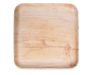 Assiettes carrées jetables en feuilles de palmier d'arec naturelles pour repas, desserts et apéritifs, 10+8 pouces, lot de 2026 - Product Image 1