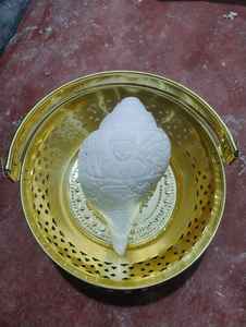 Artesanías de Conchas Marinas Naturales Hechas a Mano, Blancas de 8mm, Decoración Costera Sostenible para el Hogar, Conchas Oceánicas Pulimentadas, Regalo Artístico, Venta al Por Mayor - Product Image 3