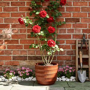 Livraison gratuite, stock US, livraison rapide en 3 jours, lot de 4 pots de fleurs ronds en céramique émaillée faits à la main pour la maison et le jardin - Product Image 2