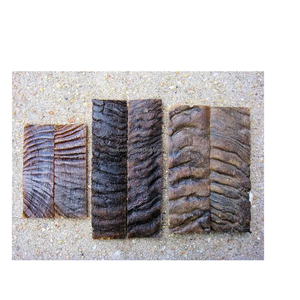 Súper calidad cuerno yemení mango 100% uso natural para MANGO de espada Venta caliente de la India - Product Image 3