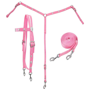 Juego de arreos de nailon plateado con diseño de corazón para caballo, estilo western, incluye cabezada, pechera y riendas, de doble capa, duradero, equipo ecuestre ajustable - Product Image 3