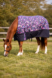 Kiran Overseas 600D <b>Waterproof</b> Horse <b>Blanket</b> Jodhpur & Breeches Mid Rise Ripstop Leather Buckle Closure Machine Washable - Product Image 2