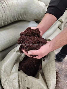 Eco Friendly Coco Turba Vietnam Fabricante Exportación Venta al por mayor OEM Orgánico Coco Suelo Sustituto - Product Image 2