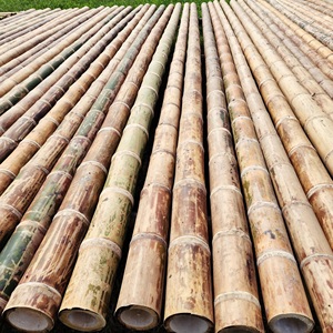 Fábrica de Varas de Bambú en Vietnam – Precios Competitivos para Compradores Globales - Product Image 5