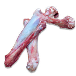 Exportation en gros d'os d'agneau halal frais congelés pour le commerce mondial et la distribution en gros - Product Image 4