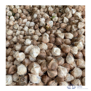 มะพร้าวสดทั้งลูกเกรดพรีเมียม สีน้ำตาลอ่อน แบบกึ่งปอกเปลือก สำหรับอุตสาหกรรมอาหาร การปรุงอาหาร และการสกัด จากฟาร์มบลูโลตัส สินค้าขายดี - Product Image 1