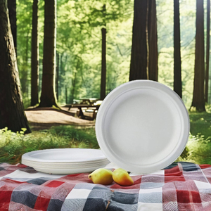 แผ่นชานอ้อยทรงกลม6นิ้วแบบย่อยสลายได้แผ่นเยื่ออ้อยเป็นมิตรต่อสิ่งแวดล้อมปราศจากสารเคมีชุบ - Product Image 4