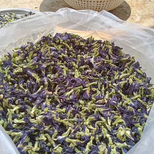 Fleurs de pois papillon séchées de qualité supérieure, idéales pour la coloration des boissons, les infusions de thé, la pâtisserie, la décoration artisanale. QUALITÉ PREMIUM. - Product Image 3