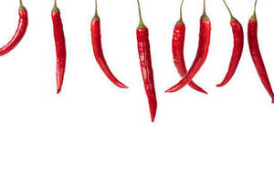 พริกแดงอินเดียคุณภาพส่งออกสำหรับผู้ซื้อวัตถุดิบอาหารระดับโลก - Product Image 5