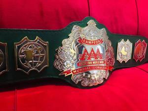 Cinturones de Campeonato Mundial de Boxeo LUCHA LIBRA - Duraderos, 7.5 kg, 1.2 m de Longitud, Personalizables, Talla Mediana, Unisex - Product Image 2