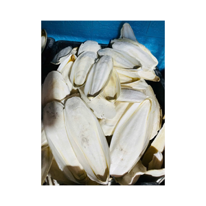 Suplemento de Calcio Natural de Calamar Seco para Aves, Favorece el Recorte del Pico y el Desarrollo de Huesos Fuertes - Product Image 2